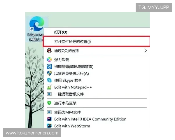 4008浏览器云顶下载过程中遇到问题？这里有详细解决方案