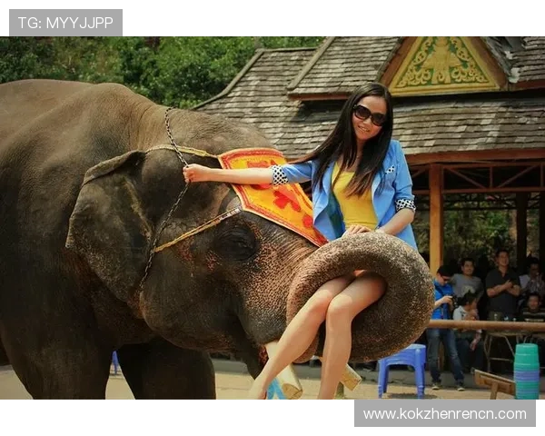 j9真人游戏第一的精彩体验尽在这里探索无限可能